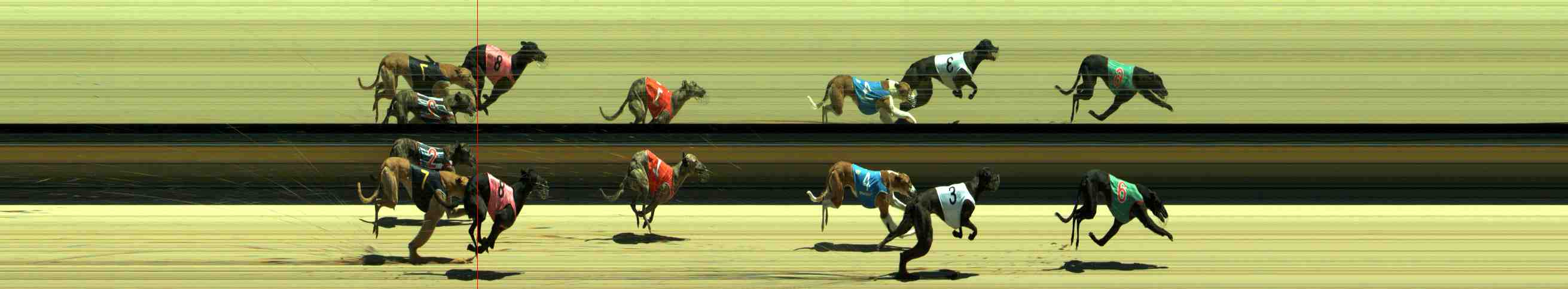 Race result finish photo